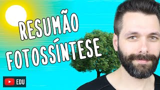 RESUMO sobre FOTOSSÍNTESE  Biologia com Samuel Cunha [upl. by Richmond]