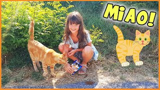 Facciamo amicizia con un gattino 😸 gli portiamo da mangiare [upl. by Maryann]