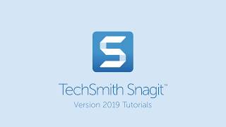 Snagit 2019 Quick Styles and Favorites [upl. by Wooldridge823]