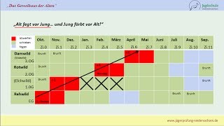 Jägerprüfung Niedersachsen Das Geweihaus der Alten [upl. by Maynard]