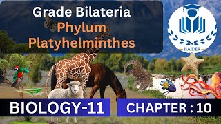 Grade Bilateria Phylum Platyhelminthes Class 11  Chapter 10 Biology [upl. by Hermine]