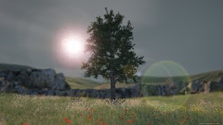 ただ木を眺めるゲームがすごくいい【 TREE SIMULATOR 2020 】 [upl. by Eisso]