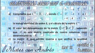 SELECTIVIDAD PAU EBAU EVAU MATEMÁTICAS II JUNIO 2017 COMUNIDAD VALENCIANA – ÁLGEBRA 02 [upl. by Boehike]