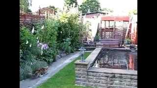 How To Keep Cats Out Of Garden With Contech CatStop Ultrasonic Outdoor Cat Deterrent [upl. by Airemahs]