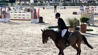 Haraminka Mare by Verdi 2013 140 Class MET Oliva [upl. by Won]