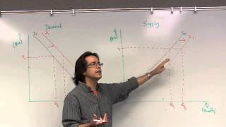 Supply and Demand Shift vs Movement along [upl. by Eberhard]