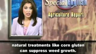 Ideas for Getting a Firm Grip on Weed Control [upl. by Welles]