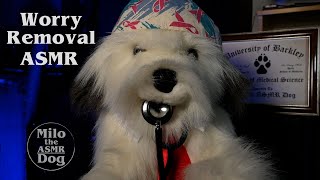 ASMR Professional Worry Removal With Positive Affirmations [upl. by Davita]