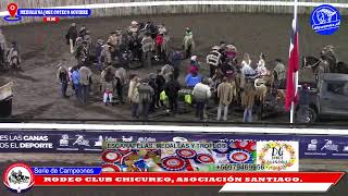 SERIE DE CAMPEONES RODEO PRIMERA CON PUNTOS CLUB CHICUREO ASOC SANTIAGO MEDIALUNA DE PELDEHUE [upl. by Grigson90]