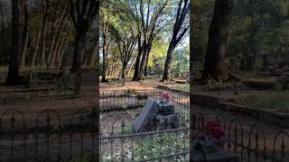 Dunsmuir Cemetery Dunsmuir California shorts cemetery rip veterans tomb graves creepy usa [upl. by Ahsiad]