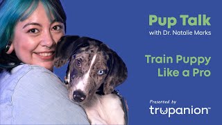 How to Train Your Puppy Like a Pro Trupanion Pup Talk [upl. by Lanaj]