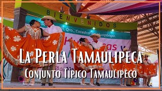 Conjunto Típico Tamaulipeco  La Perla Tamaulipeca [upl. by Flint476]