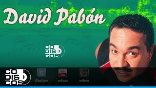 La Tristeza Se Fue David Pabón  Audio [upl. by Eyar147]