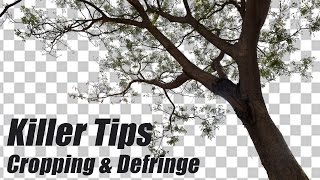 Photoshop Killer Tips  Cropping Defringe Hindi [upl. by Bernat128]