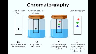 CHROMATOGRAPHY BASIC CONCEPTS OF CHROMATOGRAPHY jhwconcepts711 [upl. by Prima]