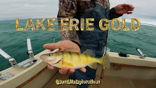 20231028 Lake Erie Perch Fishing [upl. by Asiret]