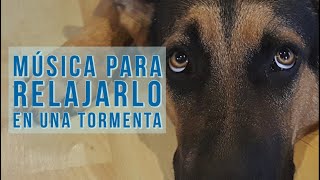 🐾 Música relajante para perros durante una tormenta 🎧 Perrhijos 🐶 musicoterapia [upl. by Leva751]