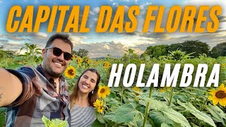 POR QUE HOLAMBRA É A CAPITAL DAS FLORES  O que fazer em Holambra Paz Amor e Viagem [upl. by Delphine]