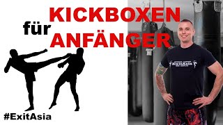 Kickboxen Anfänger Training 1 [upl. by Reginald826]