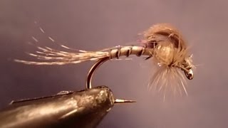 Hammer Creek Loop Wing Emerger [upl. by Mcgee874]