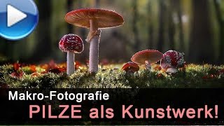 Pilze als Kunstwerke fotografieren [upl. by Lauren134]