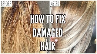 How To Fix EXTREMELY Damaged Hair At Home [upl. by Nilyarg]