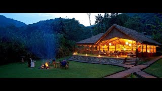 Sanctuary Gorilla Forest Camp  Bwindi Impenetrable Forest  Uganda [upl. by Ahsiuqal656]