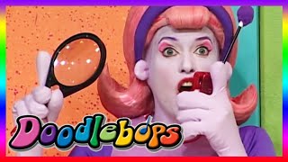 The Doodlebops 124  What Did You See Today  HD  Full Episode  hows For Kids [upl. by Leuqim]