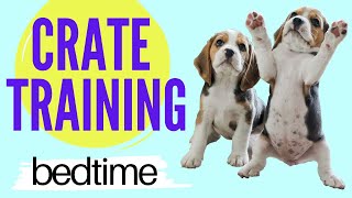 How to Crate Train a Puppy at Night  Puppy Crate Training [upl. by Joao]