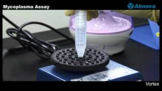 Mycoplasma Assay [upl. by Argent]