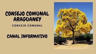 Convocatoria de Consejo Comunal Araguaney Octubre 2024 [upl. by Yajeet468]