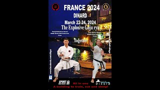 The Explosive Goju ryu  Dinard  France 2024 [upl. by Anicart]