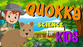 Quokka  Science for Kids [upl. by Eicart]