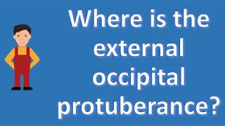 Where is the external occipital protuberance   Best Health FAQ Channel [upl. by Burchett]