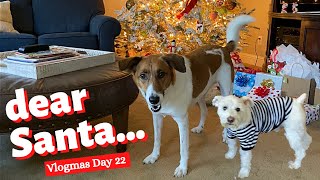 What My Dogs Want for Christmas  VLOGMAS 2021 [upl. by Darice]