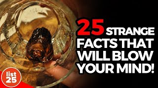 25 Strangest Facts Guaranteed to Blow Your Mind [upl. by Nnayllas]