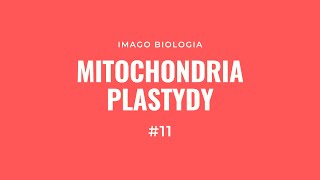 Mitochondria i plastydy [upl. by Ritter]