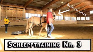 🐴 3 Mal Schleppen  Training für das Kutschen fahren Folge 38 [upl. by Marilla]