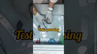 Testis grossing video  histopathology histology testis testimony [upl. by Ynnaj]