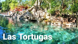 BALNEARIO las tortugas en MORELOS conoce su borbollón de agua CRISTALINA [upl. by Cerf]