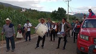 Tampico Hermoso Orquesta Jarillera de Buenavista San Agustín Tlacotepec 🎷🎵🎺🎵 [upl. by Arlinda722]