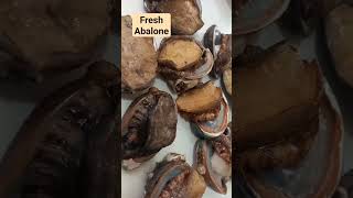 Fresh Abalone [upl. by Kartis481]