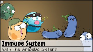 Immune System [upl. by Euh]