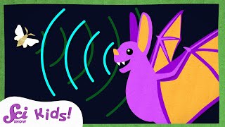 How Do Bats See with Sound  Echolocation  Amazing Animal Senses  SciShow Kids [upl. by Aklam]