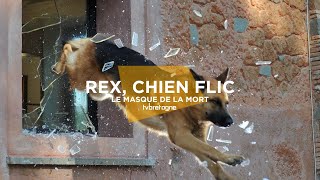 TV Bretagne  Rex chien flic [upl. by Nievelt17]