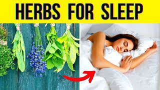 Best Herbs to Improve Sleep  Strongest Sleep Aiding Herbs [upl. by Ahsinel]