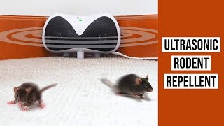 🐀 Redeo Ultrasonic Rodent Repellent 🐁 Squirrel Mouse Rat Pest Control Pest Repeller 🐀 [upl. by Atnuahc]