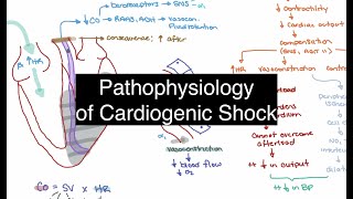 Pathophysiology of Cardiogenic Shock [upl. by Onida934]