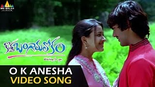 Kotha Bangaru Lokam Video Songs  O K Anesa Video Song  Varun Sandesh Sweta Basu [upl. by Joell29]