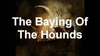 Opeth  The Baying Of The Hounds VST cover [upl. by Wilkins617]